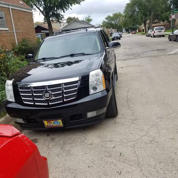 pimpingd55